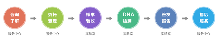 鉴定流程